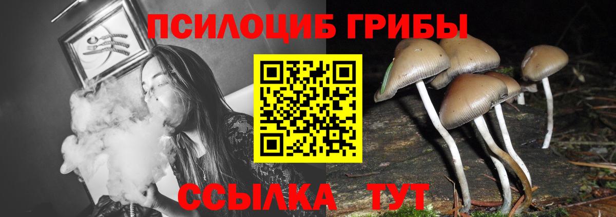 Галлюциногенные грибы MAGIC MUSHROOMS Ульяновск